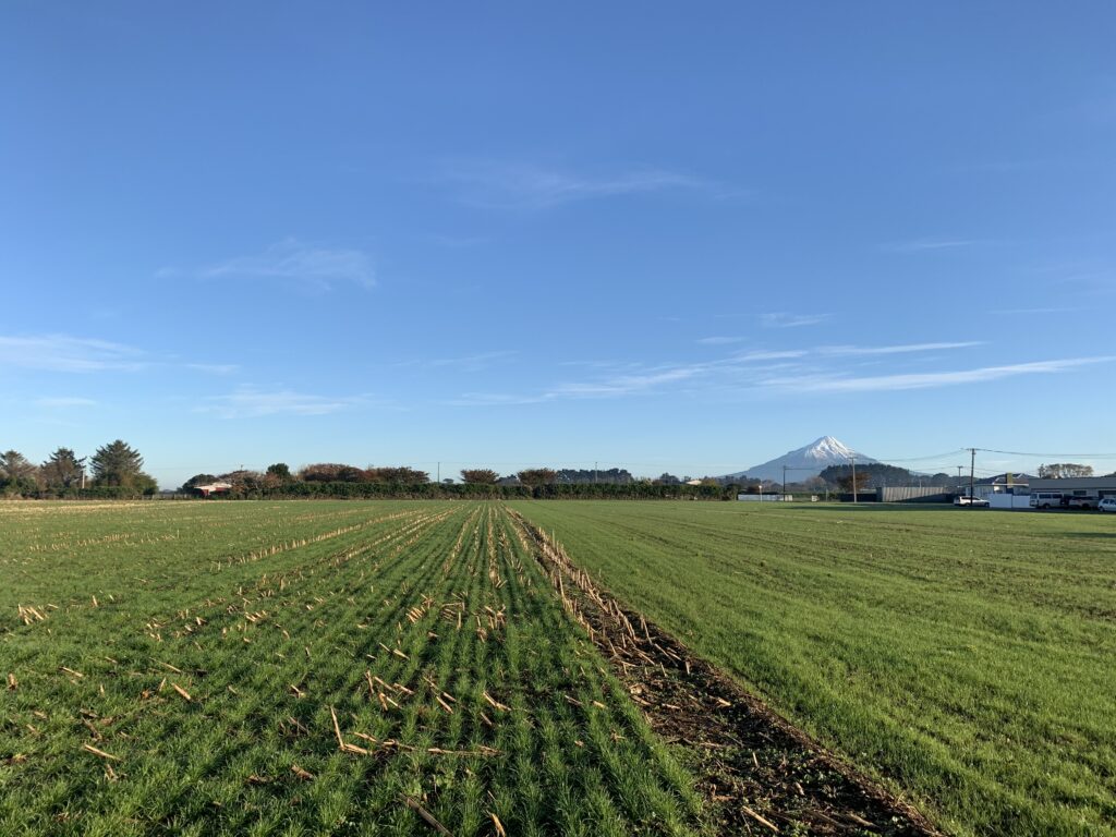 Mountain Views Site Image