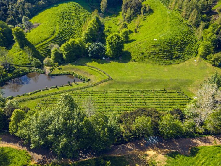 House and Land Package Clevedon, Auckland Cambridge Homes