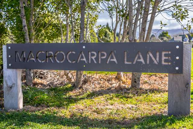 macrocarpa lane sign